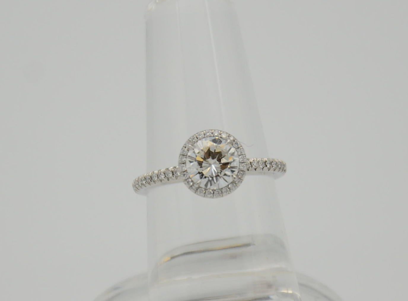 "ENGR03296" One Carat Halo Engagement Ring - Platinum Halo Ring
