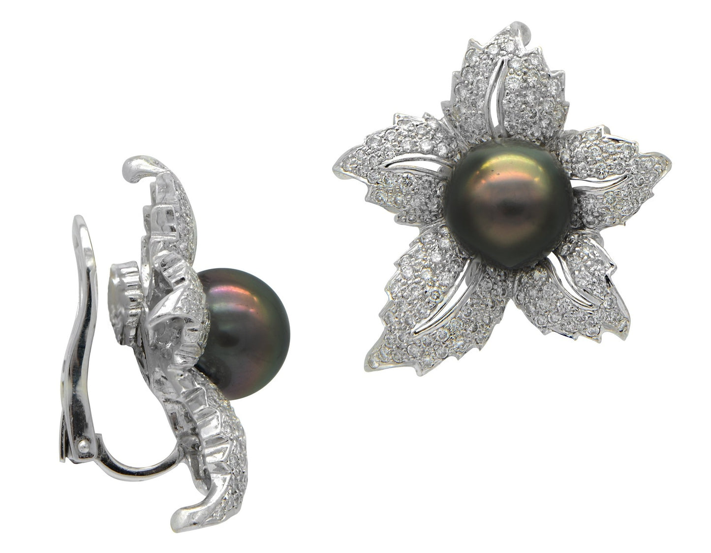 "EARR01155" Tahitian Black Pearl Earrings with Convertible Post for Clip On Wear