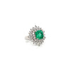 5.48 Total Carat Emerald and Diamond Halo Prong-Set Ladies Ring